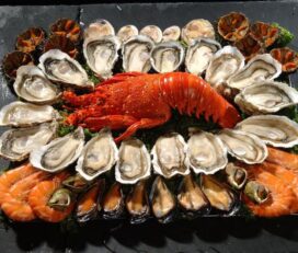 Coquillages Du Roy René