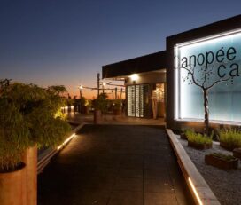 Canopée Café